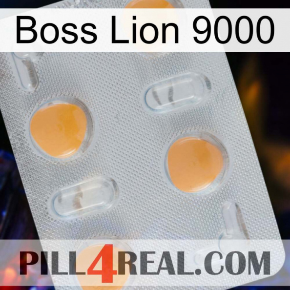 Boss Lion 9000 24.jpg